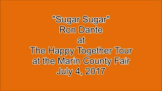 "Sugar Sugar" Ron Dante at The Happy Together Tour - July 4, 2017