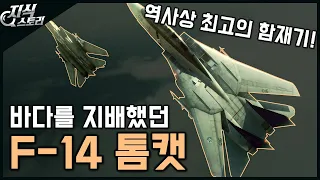 세계의 바다를 지배했던 "F-14 톰캣" / 역사상 최고의 함재기! [지식스토리]