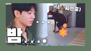 밤이 💩싸는거 급하게 말리는 정국ㅋㅋㅋㅋ/BTS인더숲2🌳