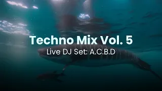 Techno Mix Vol.5 | Live Set: A.C.B.D // Joyhauser, Teenage Mutants, Balthazar, JackRock, Marco Effe