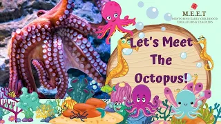 Let's Meet The Octopus! | preschool learning videos on sea animals (Giant Pacific Octopus)