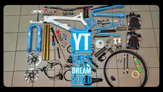 Dream Build YT Tues carbon custom paint frame & fork