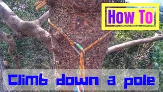 [ How To 點搞 ] Climb down a pole 如何下降無支點樹幹
