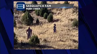Idaho Sasquatch family spotting - Jeff Roper - 10-11-22