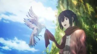 Mikasa Cries on Eren's Grave - Bird Eren Ending Scene