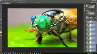 FOCUS STACKING: Macro Tutorial