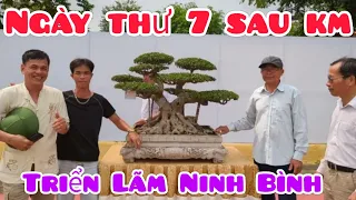 Giữa trưa nắng 37 độ vãn đông anh em các tỉnh thành đến triển lãm NB ngắm Bộ 3 của Nữ Hoàng Sen Đá