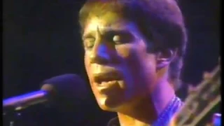 Music - 1982 - Paul Simon - American Tune + The Boxer + Sound Of Silence - Live In Concert   Part 2