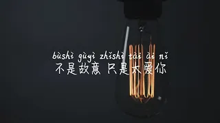 【只是太爱你-丁芙妮】ZHI SHI TAI AI NI-DING FU NI /TIKTOK,抖音,틱톡/Pinyin Lyrics, 拼音歌词, 병음가사/No AD, 无广告, 광고없음