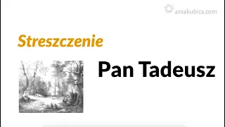 Pan Tadeusz - streszczenie