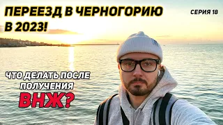 Переезд в Черногорию в 2023 году! ВНЖ Черногории! Что делать дальше ?