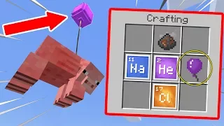 10 SECRET ITEMS You Can Get in Minecraft