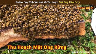 Review quy trình sản xuất và thu hoạch mật ong thần dược || Review Giải Trí Đời Sống