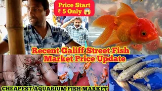 Recent Aquarium Fish Price Update | Galiff street Fish Market |Galiff Street new video 2nd June 2024