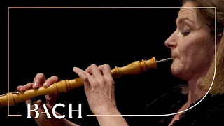 Bach - Oboe Concerto in F major BWV 1053r - Black | Netherlands Bach Society