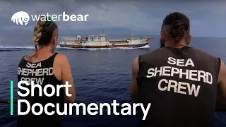 Ocean Defenders | Short Documentary | WaterBear