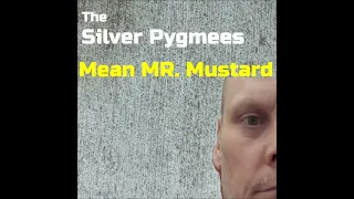 Mean MR Mustard  | BEATLES Cover