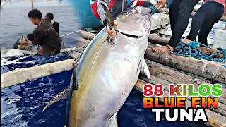 UNANG HULI NI KA FISHING JAN-JAN GRABI NAKA JACKPOT AGAD NG MALAKING TUNA | 88 KILOS BLUE FIN TUNA