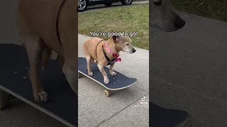 How To Grip A Skateboard