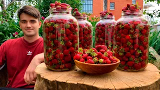 How to Keeping Strawberries Without Boiling and Freezing for The Winter?