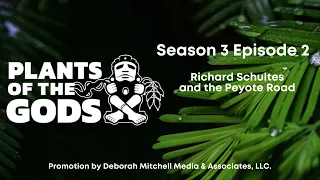 Plants of the Gods S3E2 | Peyote: Richard Schultes and the Peyote Road