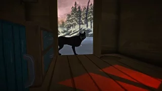 Серебряный шар: Выживший в The Long Dark