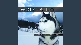 1_Wolf Talk