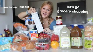 grocery shopping vlog + haul of a 19 year-old living alone