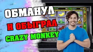 Эдик против казино Вулкан! Игровой слот Crazy monkey обыгран!