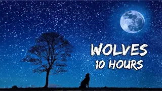 Wolves 10 Hours