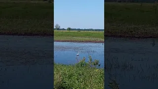 А вокруг-тишина❤