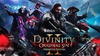 Divinity: Original Sin 2 Definitive Edition.Прохождение.Кооп с Аней. Сери...