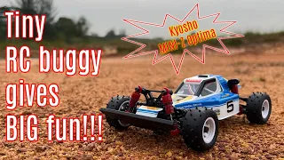 How to guide: Kyosho MINI-Z Buggy (Optima) #rc #kyosho #mini-z #buggy