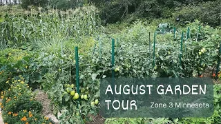 Garden Tour August 2023 (Zone 3 Minnesota)