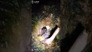 Creepy Tik Tok - Fairies are Real Caught on Camera Part 2