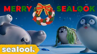 Merry Christmas with Seals!🎄 | SEALOOK | Episodes Compilation