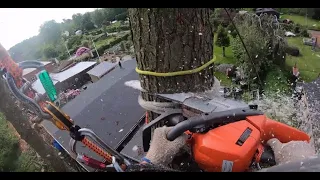 Best Quality POV arborist tree removal by certified Arborist GOPRO TREE WORK