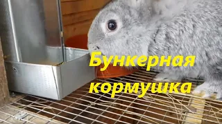 Бункерная кормушка для кроликов, просто, быстро, качественно!