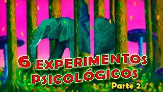 6 Experimentos psicológicos que se salieron de control – parte 2