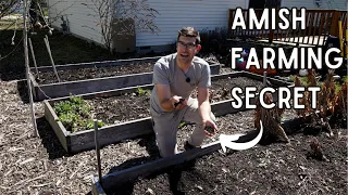 I Learned The CRAZIEST Garden Tip From an AMISH Farmer (Soil Test by sight)