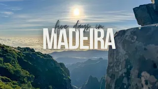 Five Days in Madeira | Madeira Travel Guide | Madeira Itinerary | The Hawaii of Europe