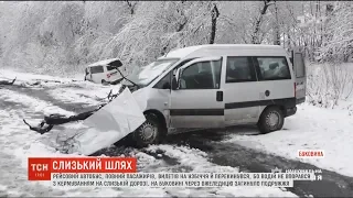 На Буковині на засніженій трасі загинуло подружжя