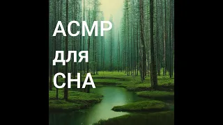 Вечерний стрим для расслабления и сна (АСМР)