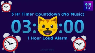 3 Hour Timer Countdown (No Music) + 1 Hour Loud Alarm