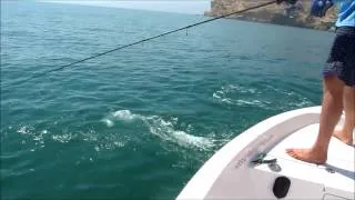 Inshore insanity Oman