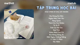 [playlist speedup] nghe nhạc rùi học bài cùng mèo nhé