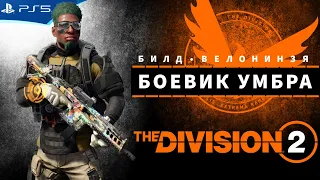 THE DIVISION 2 - Билд Боевик Умбра на основе сумки ВелоНинзя  - Стрим игры на PS5