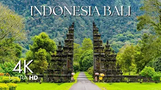 Indonesia Bali 4k || Bali Scenic Relaxation Film || Bali 4k video ultra hd #bali  #vlog #4k #nature