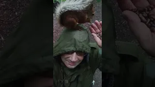 Белка села на голову / The squirrel sat on its head