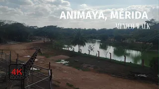 Animaya - Mérida - Yucatán - 4K